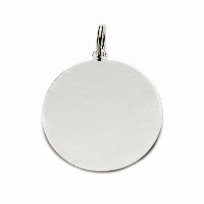 Placa de Plata Lisa 20 MM